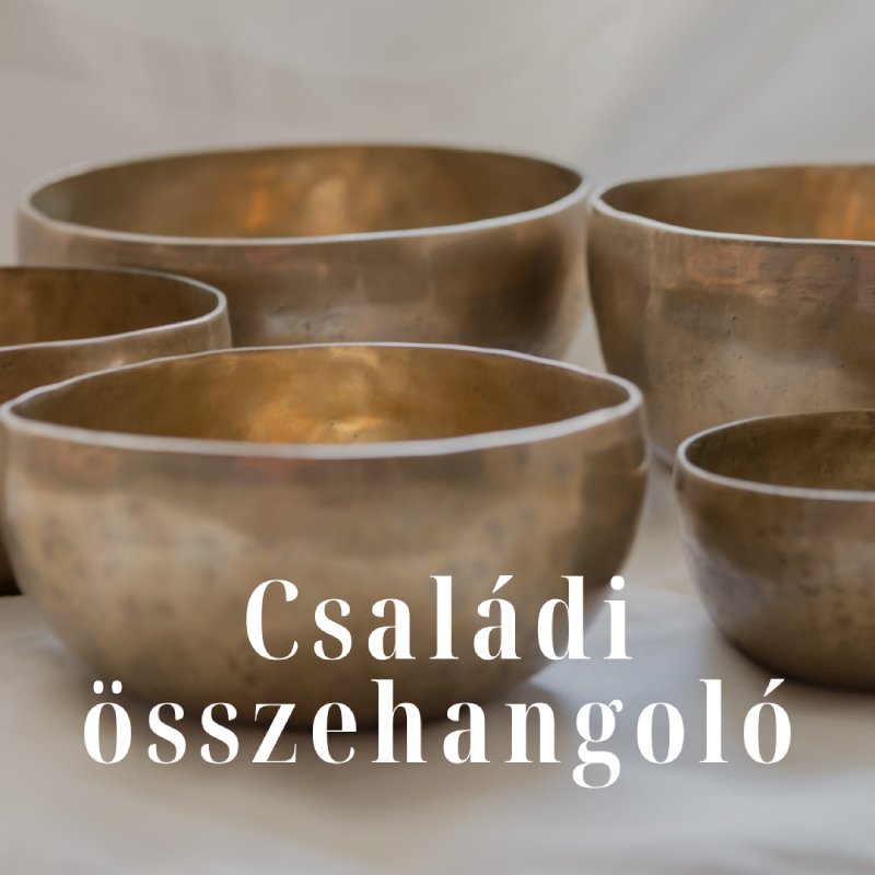 Családi összehangoló